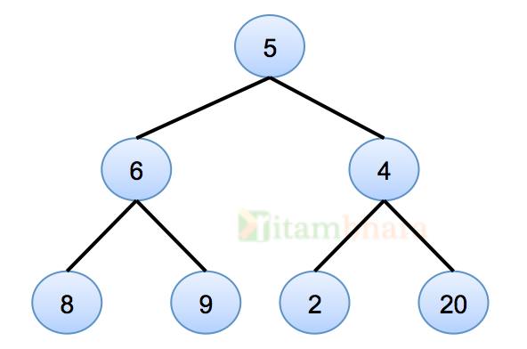Binary Tree