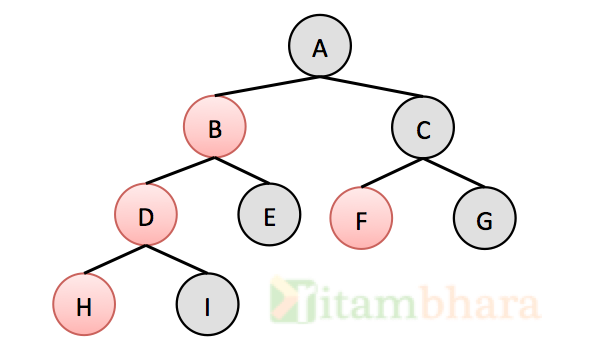 Binary_tree_ritambhara
